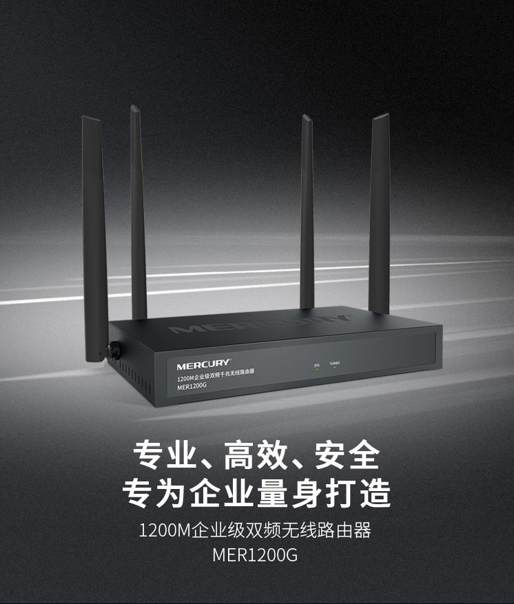 水星MVR50G企业路由器(图1)